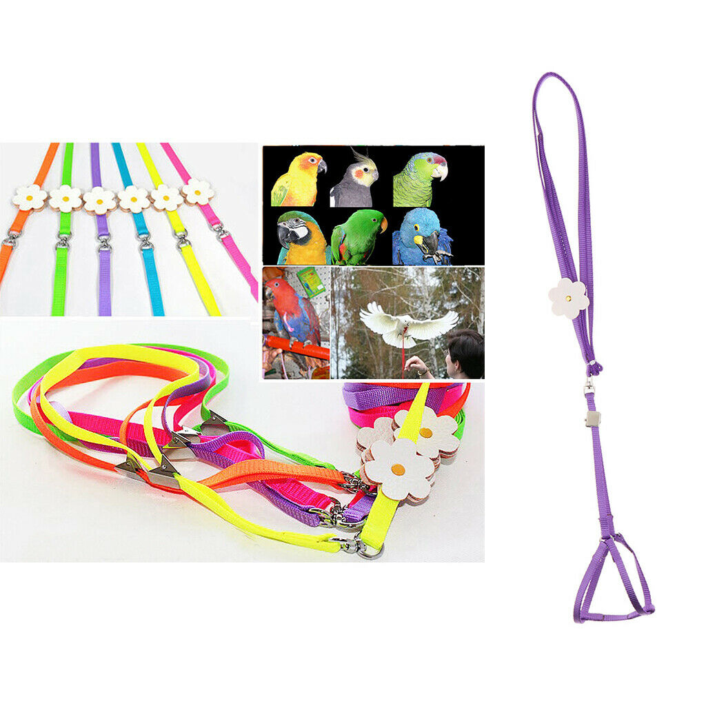 2 Pieces Safe Pet Rope Light Leash Carrying Durable Bird Rope Suitable for