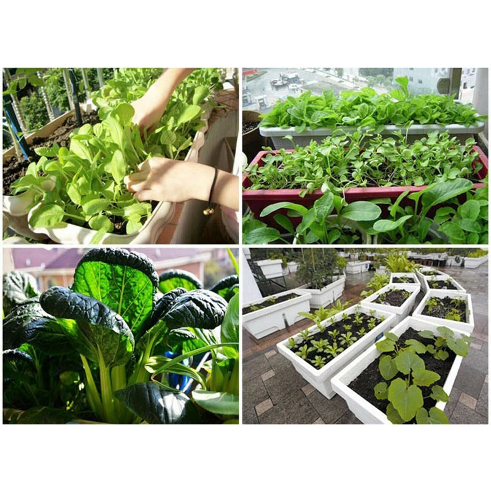 Organic 650g Planting Coco Nutrient Soil Coconut Coir Bricks Expandable