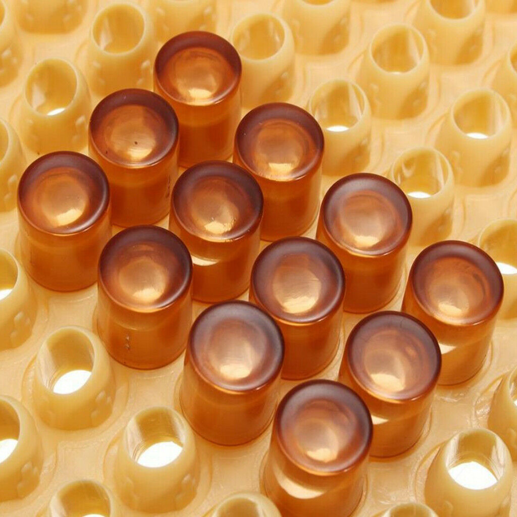 130 Pcs Queen Rearing System Cell Cups Holder Box Cage Beekeeping Tool Kit -
