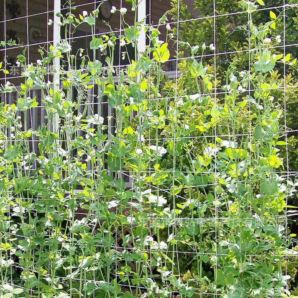 2x Garden Cucumber Flower Veggie 10m 32.8ft Plants Trellis Climbing Net