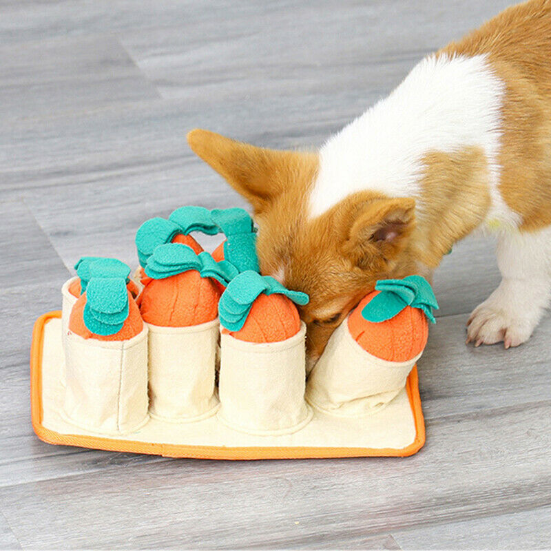 Pet Dog Snuffle Mat Sniffing Training Carrot Blanket Detachable Fleece PadsB Tt