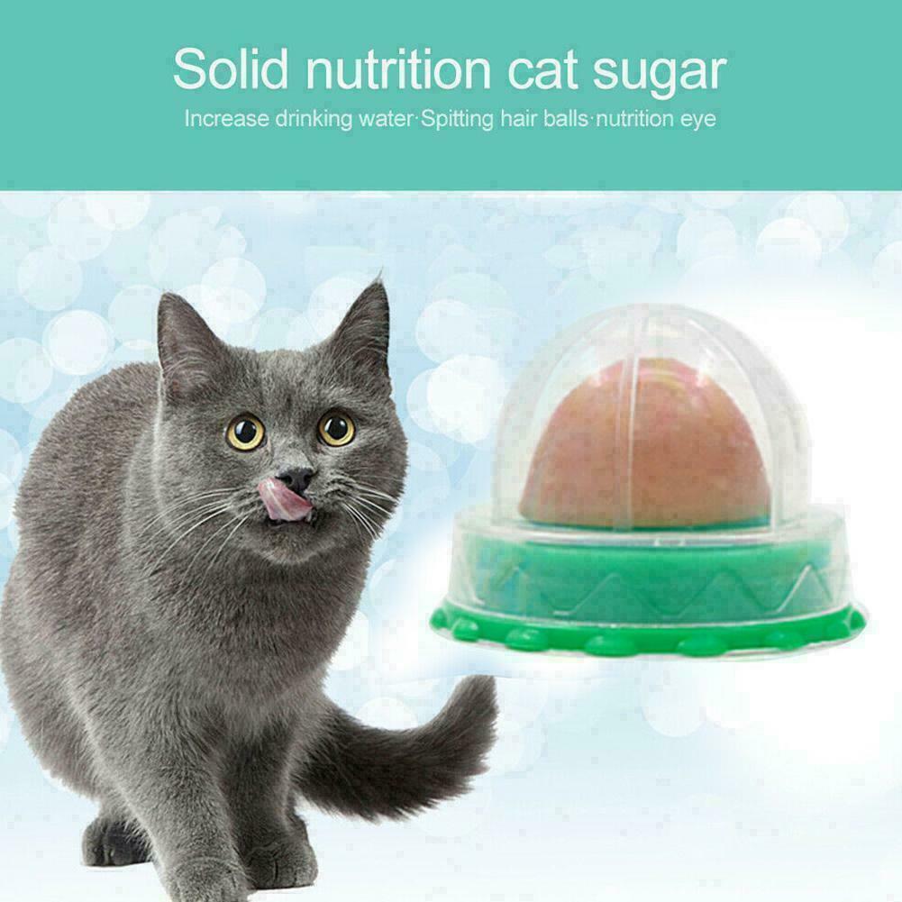 Pets Licking Fun Cat Candy Kitten Licking Toys Various Catnip K4O4 Of new