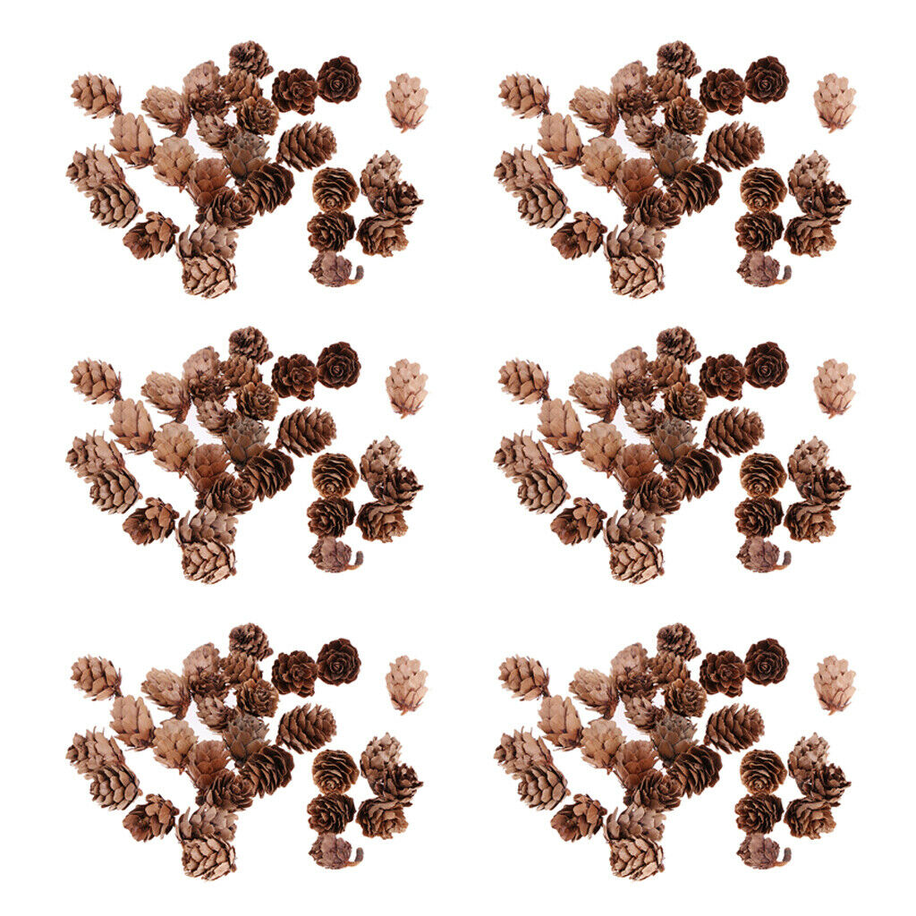 180pcs Small Natural Dried Pine Cones In Bulk Dried Flowers for Christmas Decors