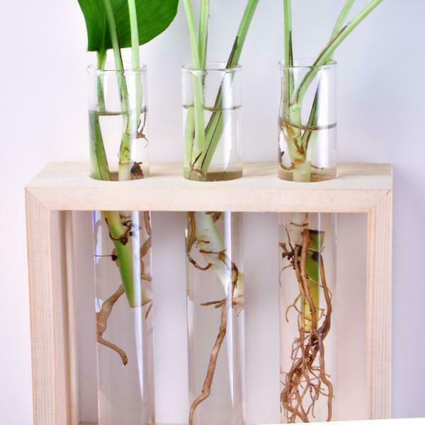Hanging Flower Vase Bottle in Wood Stand Terrarium Home Party Decor