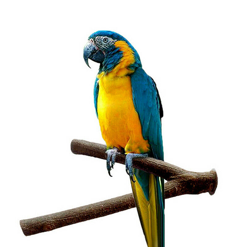 20cm Pet parrot standing stick wooden rod bite claw grinding toys accessorieFCA