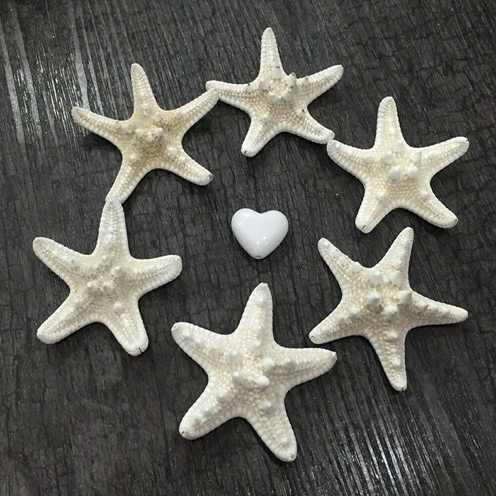 10pcs Natural SEA SHELL Starfish Craft DIY Decorate Gift Kit Wedding Props Decor