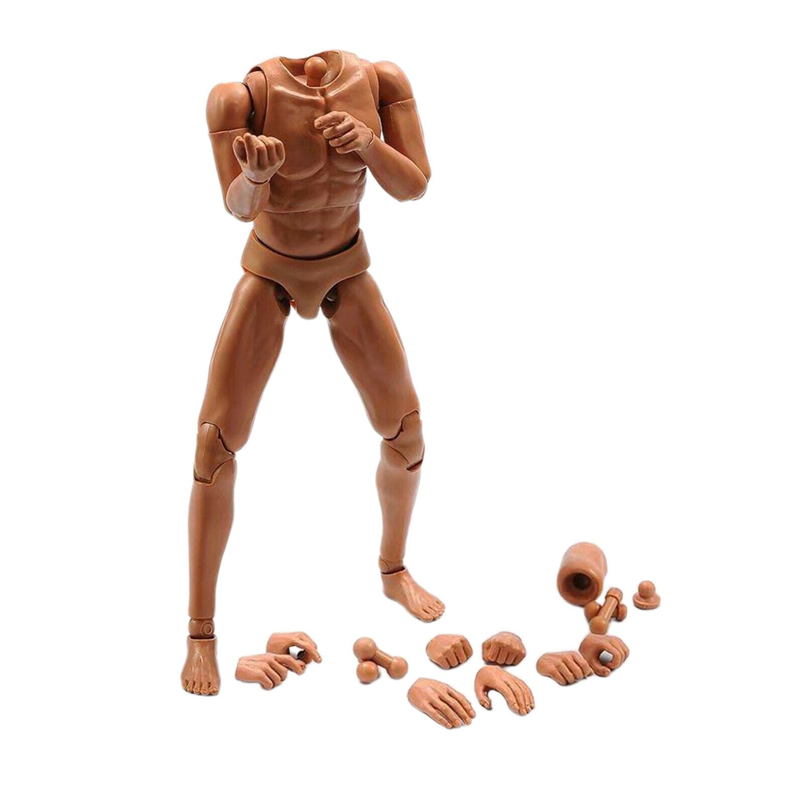 1/6 Male Narrow Shoulder Body Figures Male Muscle Body Toys for HT DAM