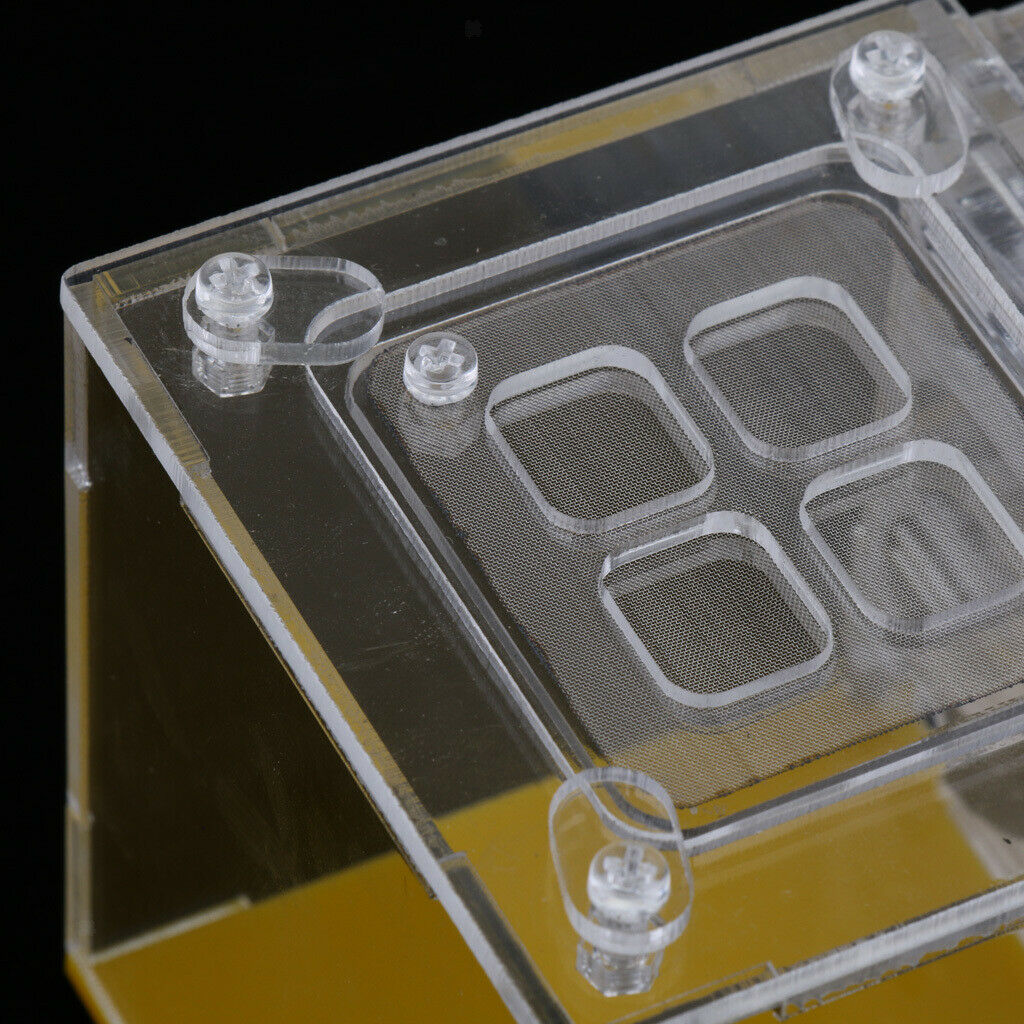 Square Ant Feeder Farm Water Erea For Insect Ant Nests Transparent 10x8x8.3cm