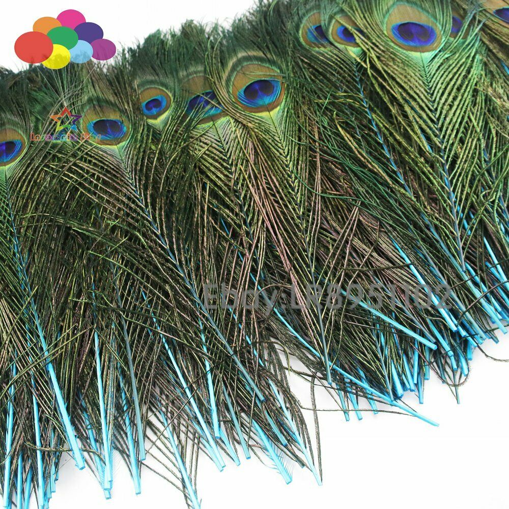Wholesale 100pcs 25-30 cm Lake blue Peacock Tail Feathers eyes for DIY clothes