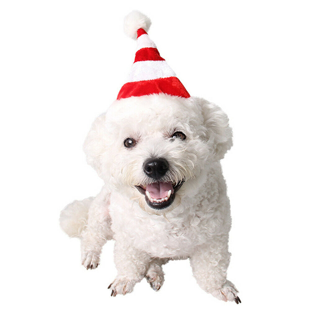 Pet Santa Hat   Christmas Party Accessory Dog Cat Costume for Small Pets