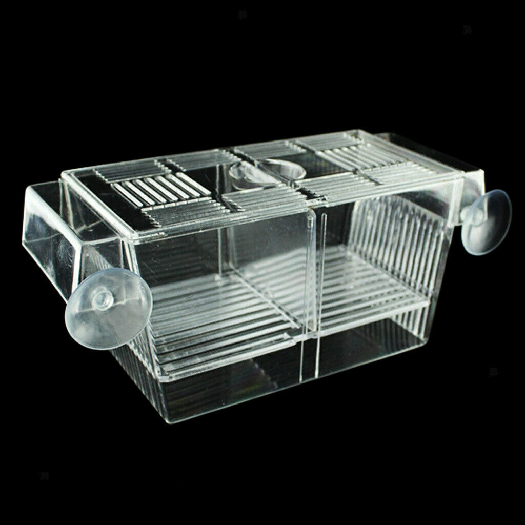 2x Floating Fish Isolation Box House Injured Or Aggressive Fry Fish