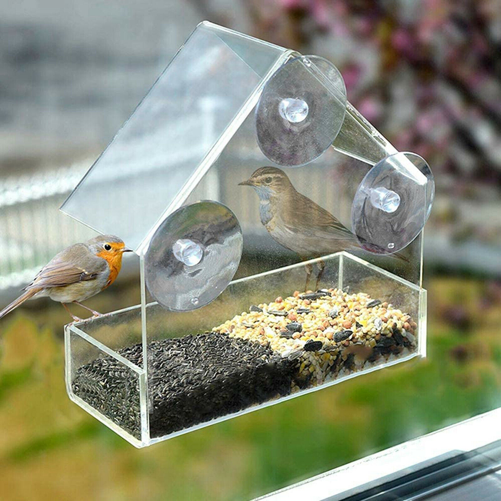 Clear Window Bird Feeder Birdfeeder Tray Birdhouse Kit Finch Patio Garden