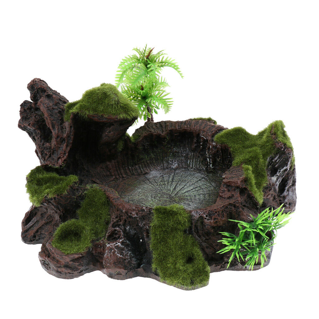 Plant Moss Decor Anqique Rock Style Water Bowl Food Dish Terrarium Habitat Decor