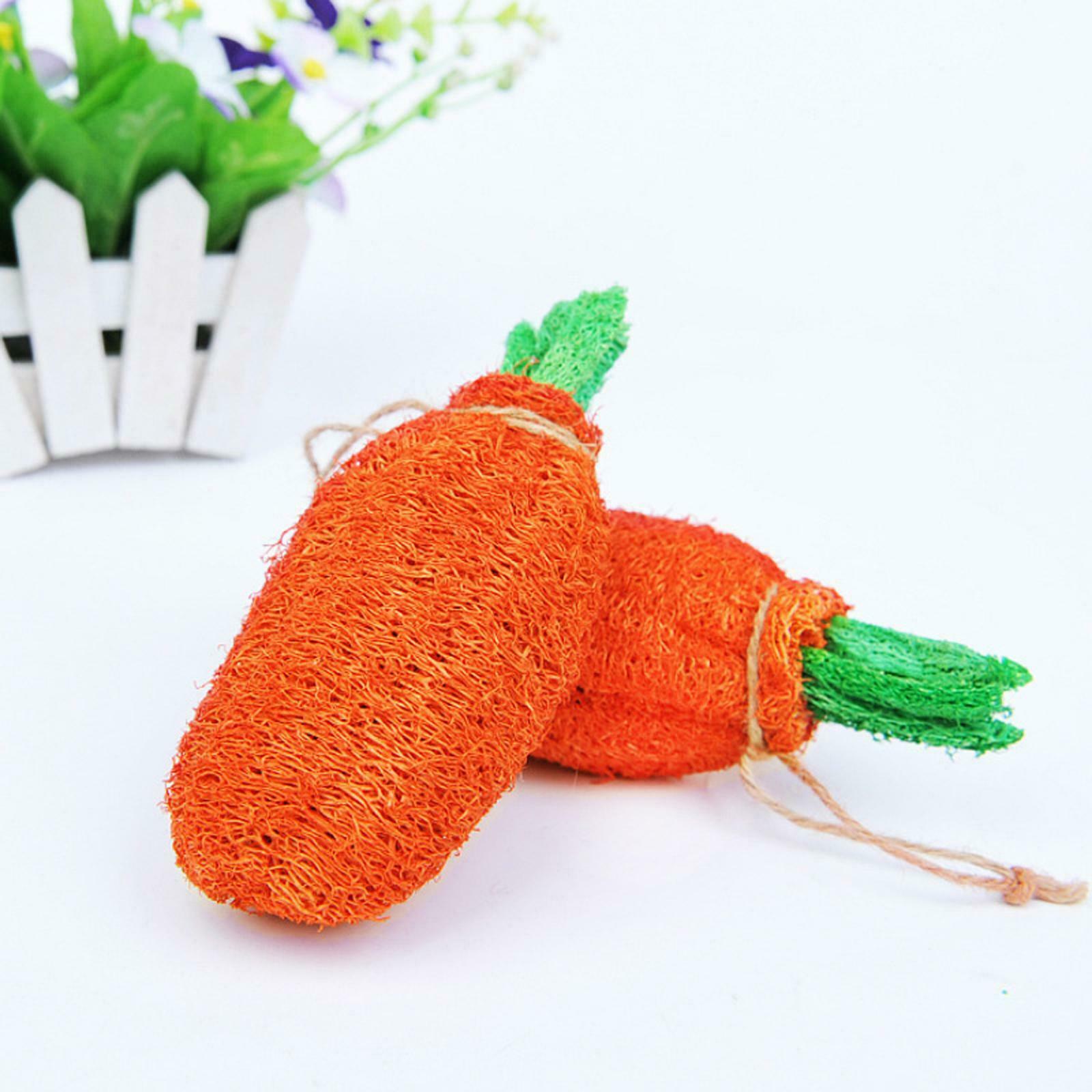 Dog Chew Toys Indestructible Teething Cleaning Playing Interactive Dog Pet Toys
