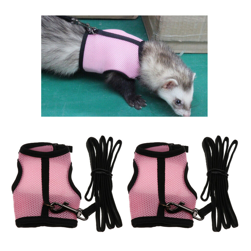 2x Hamster Rabbit Guinea Pig Rat