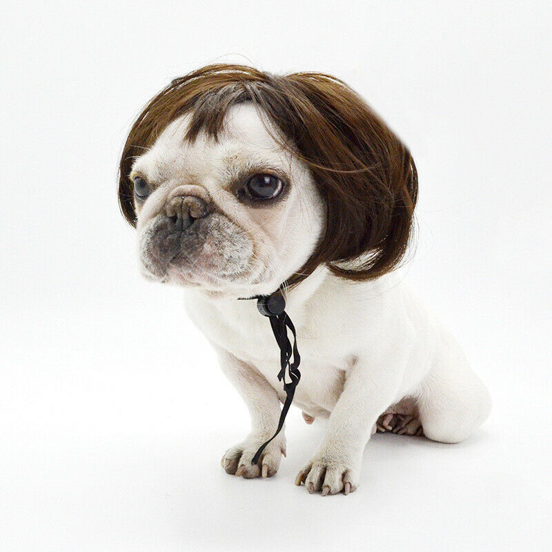Fashion Pet Wigs Cat Dog Cospaly Props Wigs Tiara Hairpiece Makeover ClothinFCA