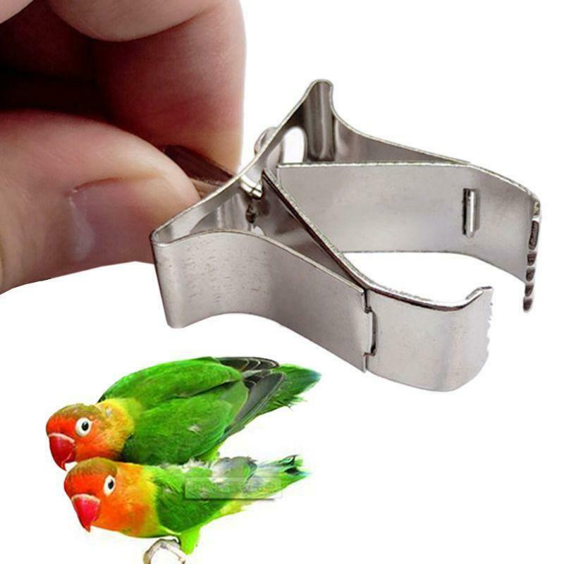 3 Pcs Birds Food Holder Pet Parrot Feeding Fruit Vegtable Clip Feeder Device Pin