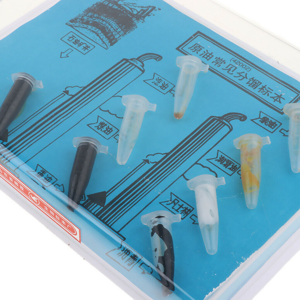 Children Educational School Experience - Oil Specimen
