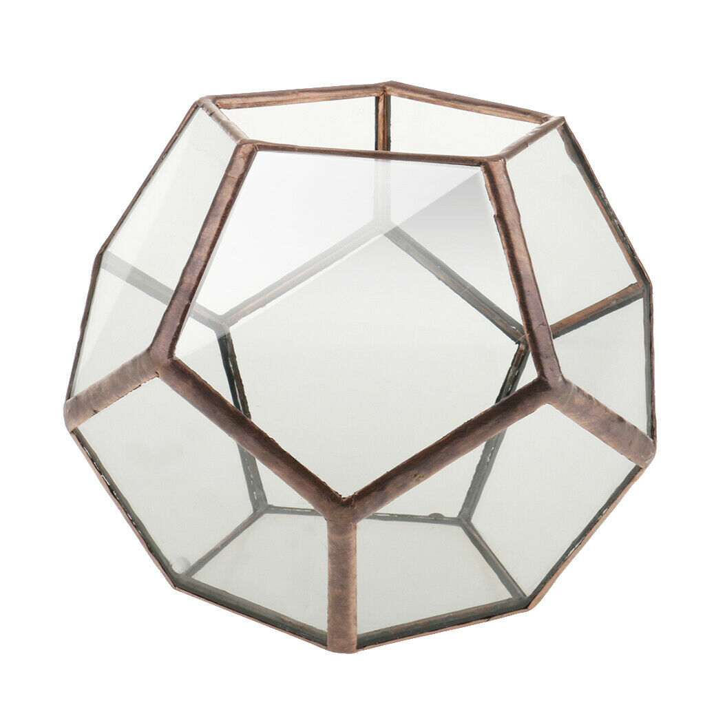 2x Glass Brass Terrarium Box Tabletop Succulent Plant Planter Flower Pot