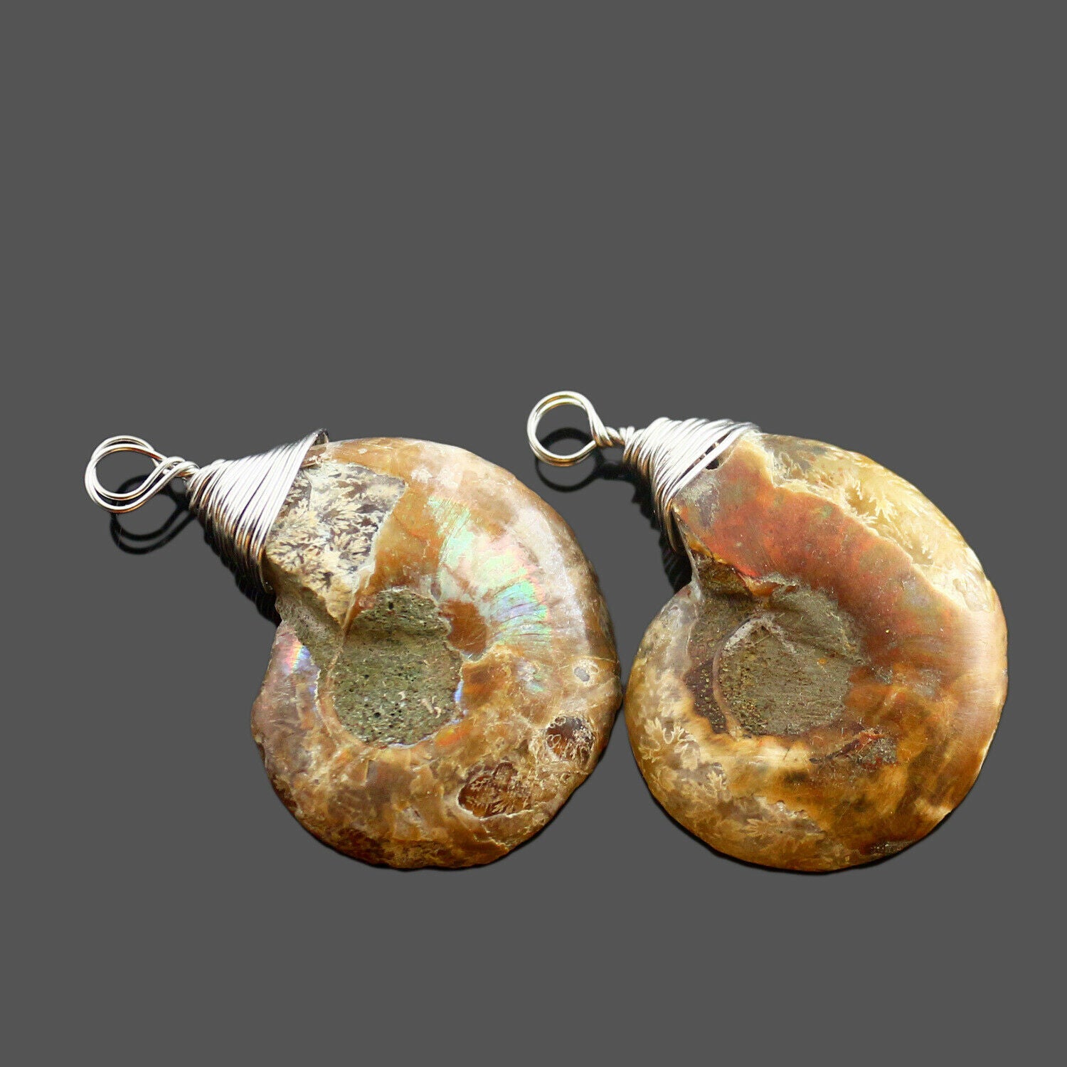 1Pc Natural Stone Ammonite Fossils Seashell Snail Conch Pendant Necklace Jewelry