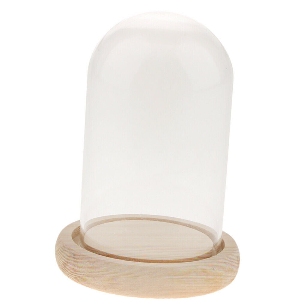 Glass Display Dome Cloche Bell Jar With Wooden Base for DIY Decoration #A