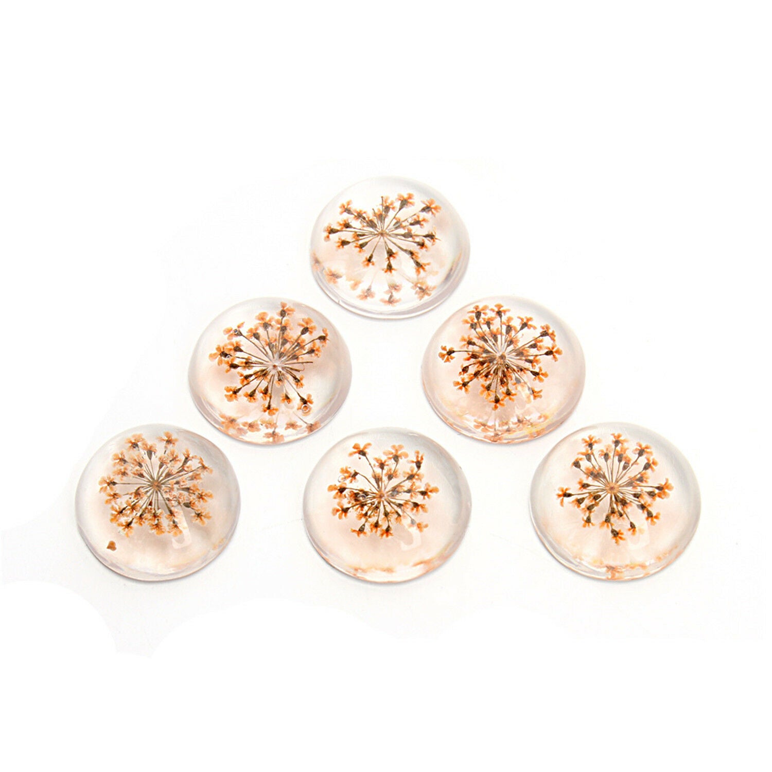 5 pcs Round Glass Cabochon Dried Flower Time Gem DIY Art Craft For Jewelry 25mm