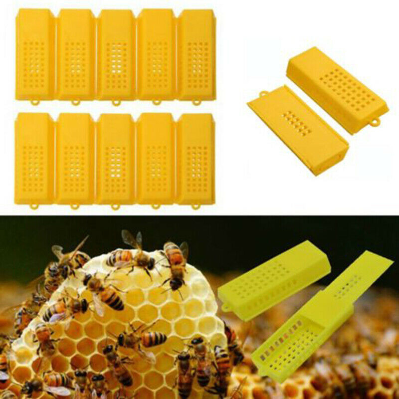 Extended Queen Bee Butler Cage Catcher Trap Case Plastic Beekeeping Tools 10pcs