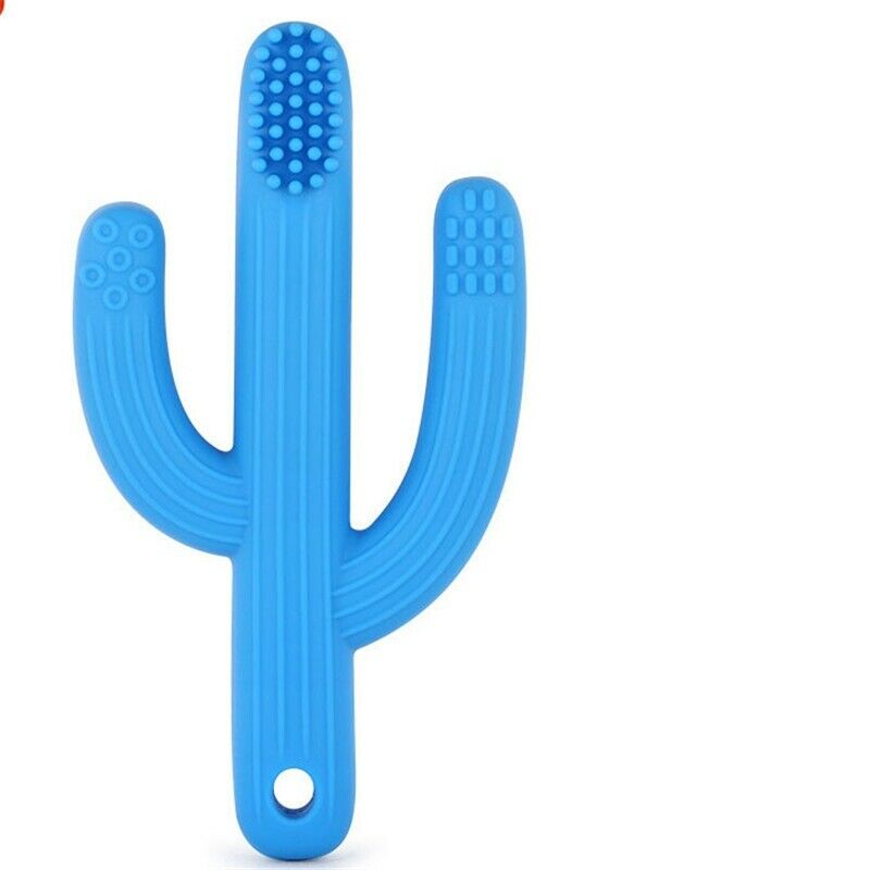 Biting Sensory Kid Baby Chewy Fiddle Autism Cactus Toys Chew Teething Colored