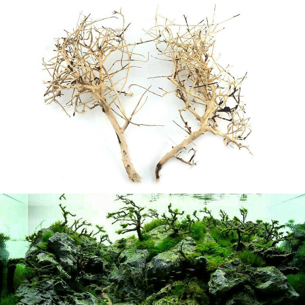 1PC Aquarium Driftwood Thai Branch Tree Plant Ornament Fish Tank Decor 20-50cm