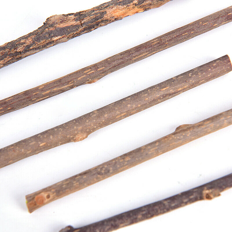 5PCS Cat cleaning teeth silvervine actinidia cat snacks sticks tooth c_.l8