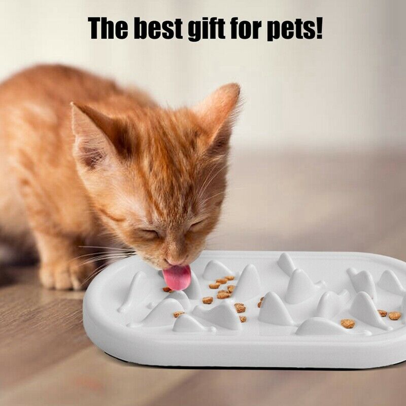 Slow Feeder Cat Bowls Pet Fun Interactive Feeder Cat Bowls Helps Stop Bloat N3O5