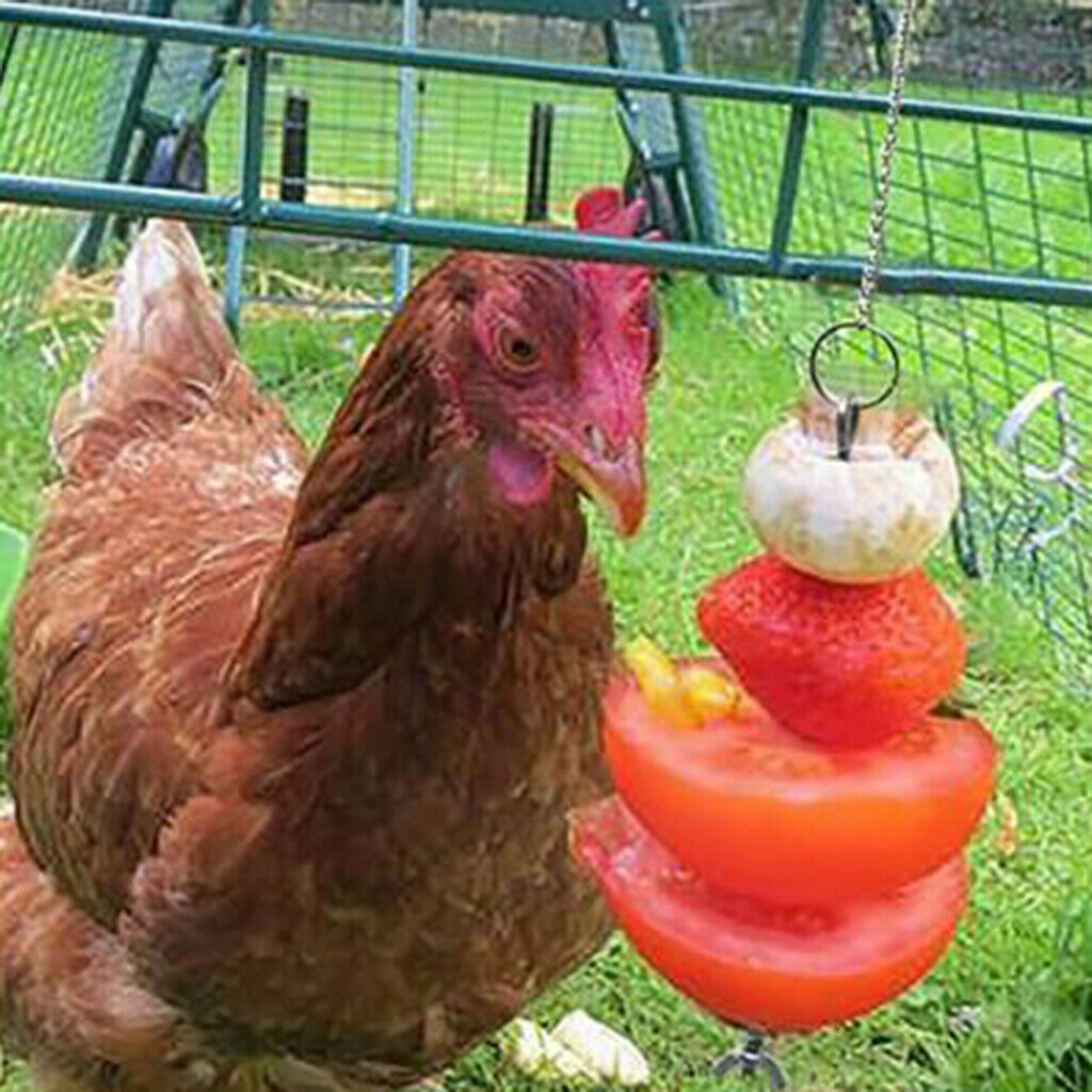 Bird Food Holder Vegetable Skewer Foraging Toys Parrots Cockatoo Cockatiel