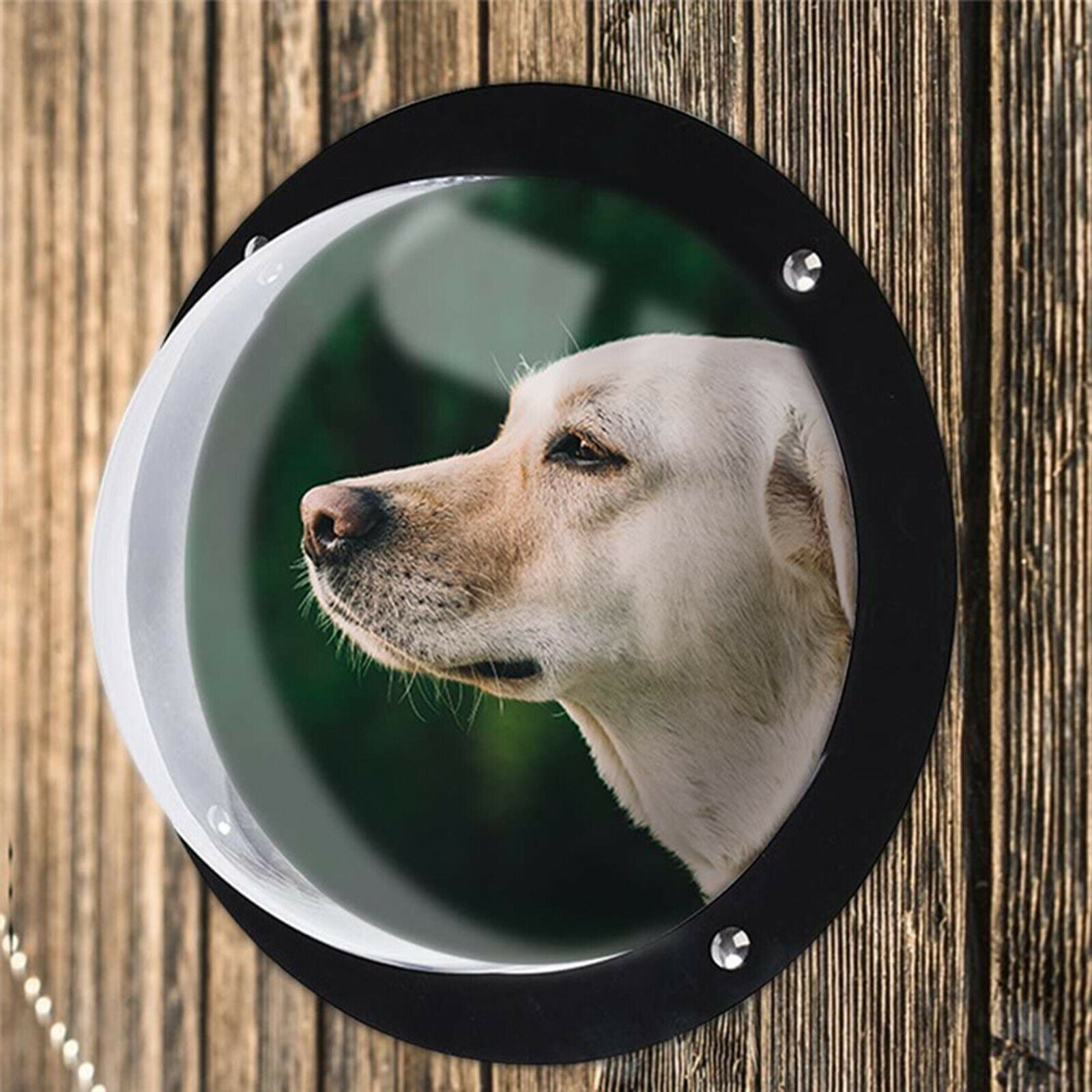 Yard Pet Dog Fence Window Cat Peek Bubble Acrylic Clear Dome Window House