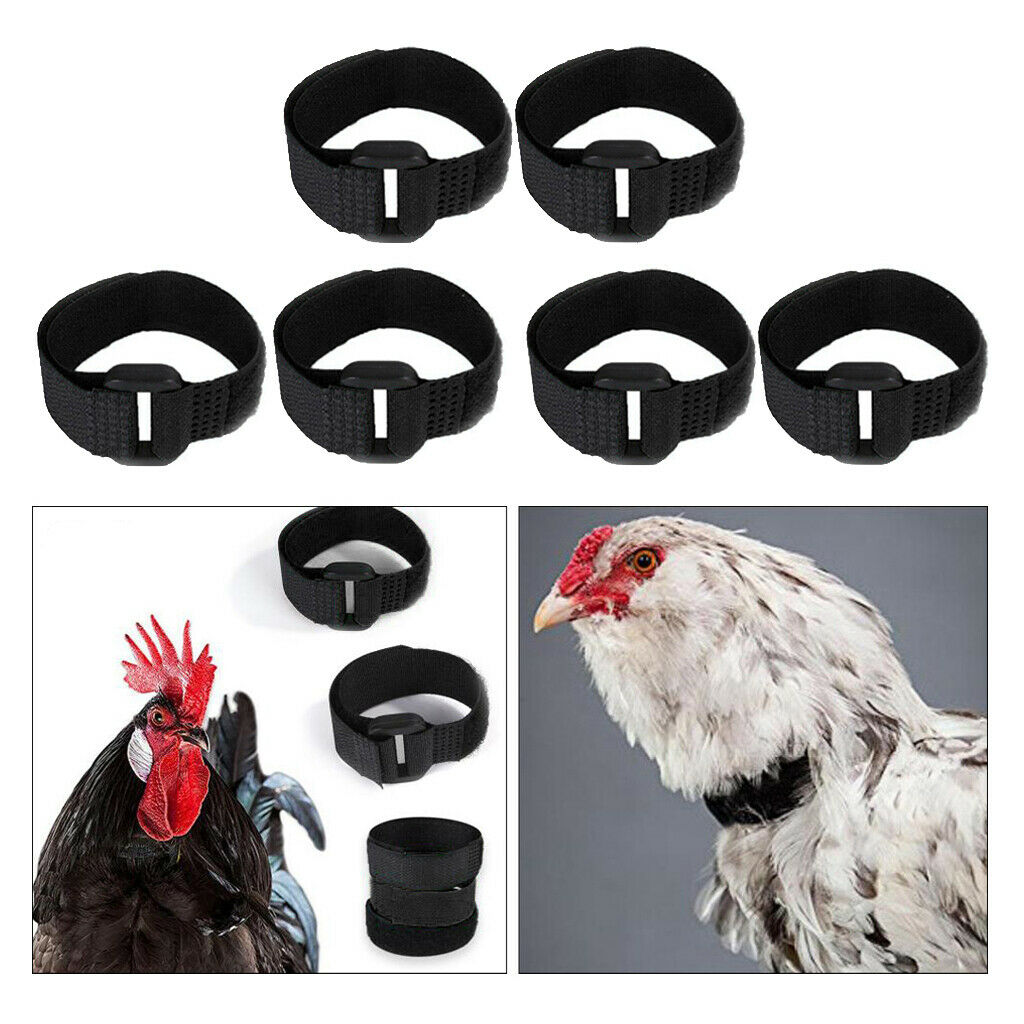 6pcs Rooster Collar Prevent Chicken from Disturbing Neighbors for Duck Black