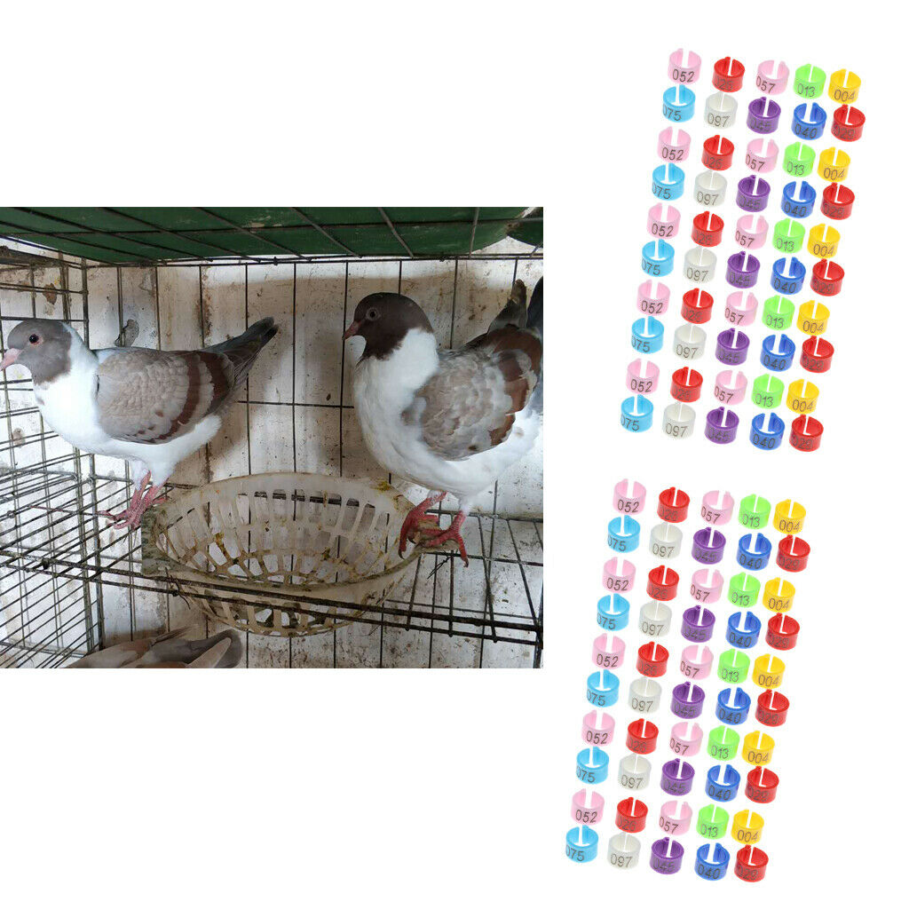100Pcs Plastic Pigeon Leg Rings Bird Rings Identification Race Colorful Ring