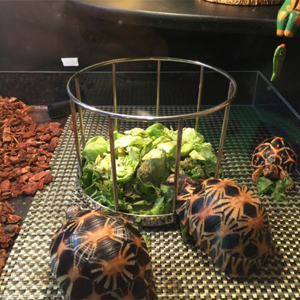 Stainless Steel Tortoise Food Bowl Turtle Food Dish Dispenser Feeding Tool B