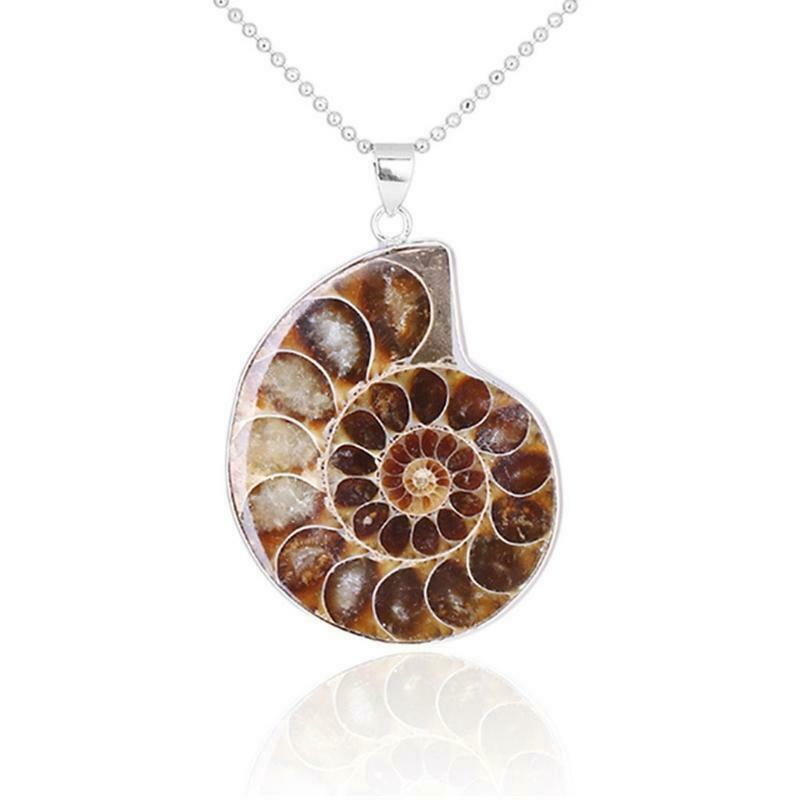 Natural Ammonite Fossils Pendant Necklace Fossils Stone Pendant Fashion Jewelry