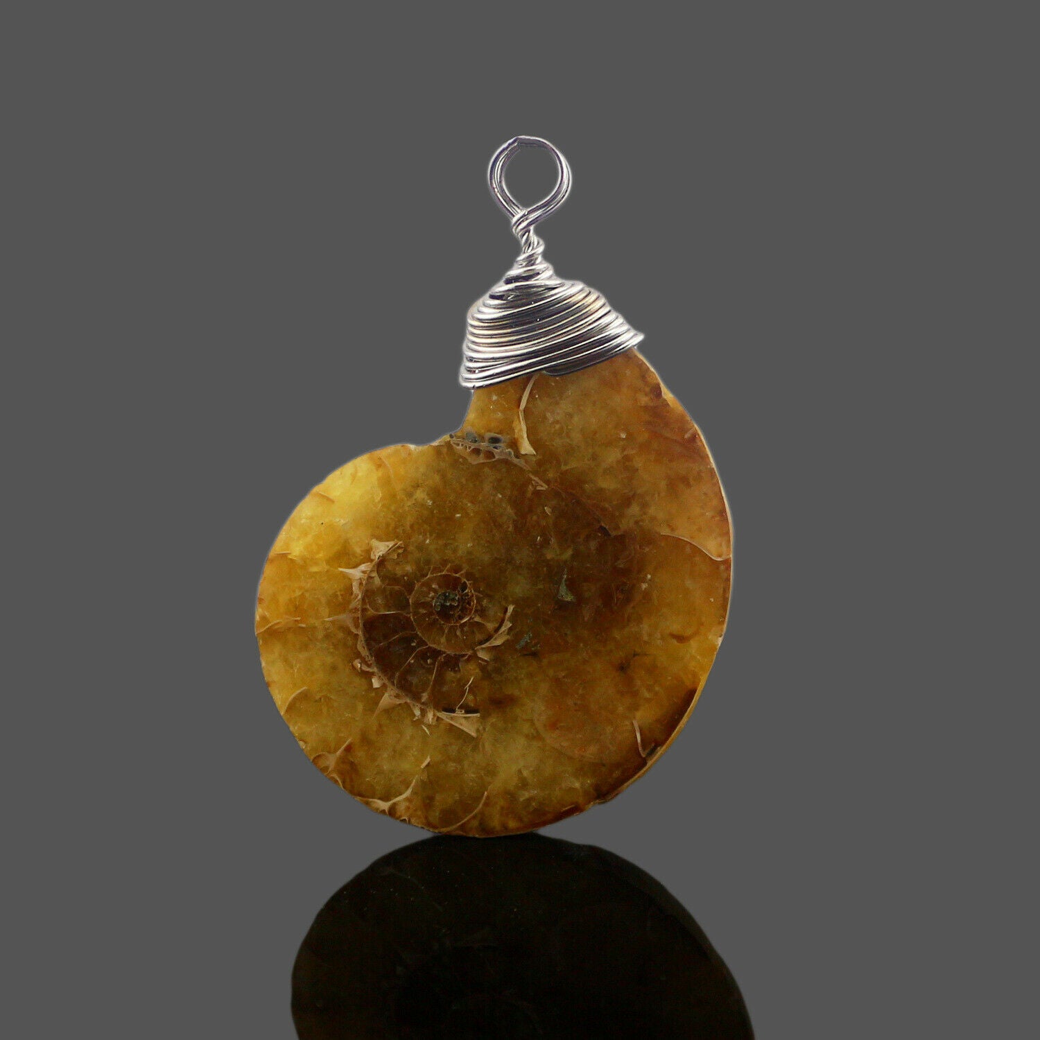 1Pc Natural Stone Ammonite Fossils Seashell Snail Conch Pendant Necklace Jewelry