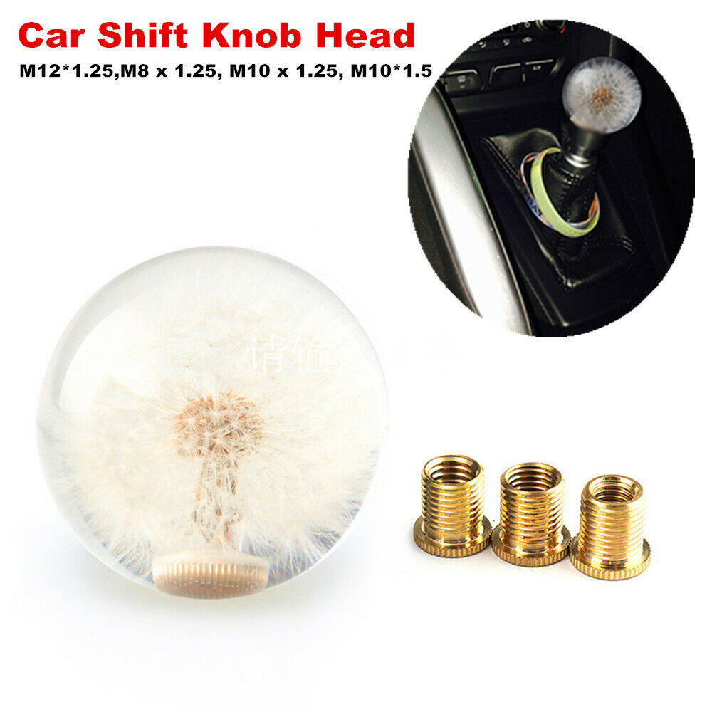 Car Shift Knob Head 70MM Crystal Ball with Dandelion Real Flowers M8 M10 Adapter
