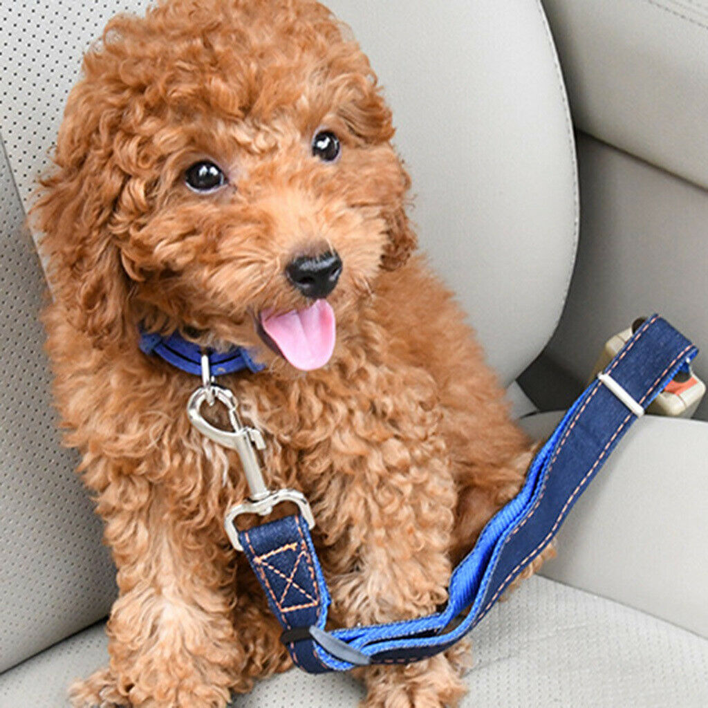 Adjustable Pet Cat Dog Car Seat Belt Safety Restraint Harness Clip Lead Red