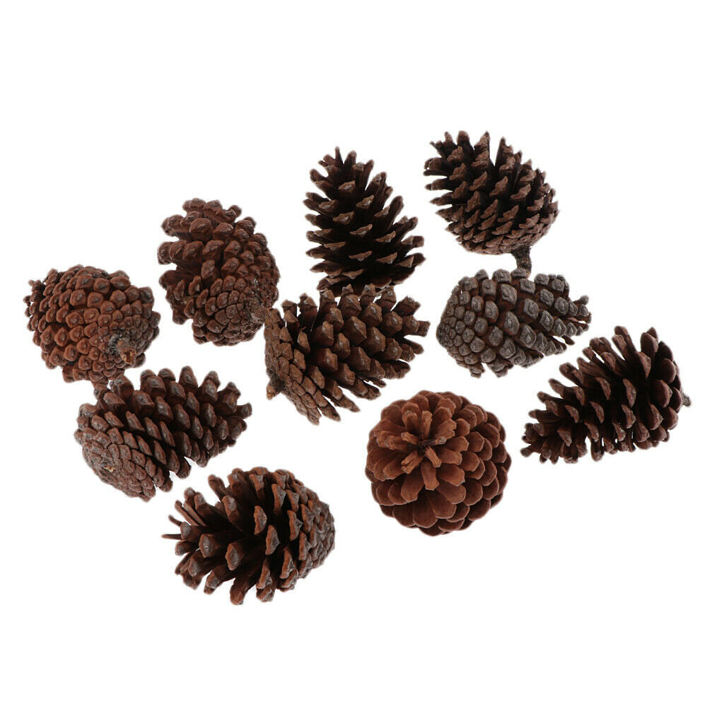30pcs Mixed Pine Cone Rustic Big Pinecones For Wedding DIY Wreath 6-10cm