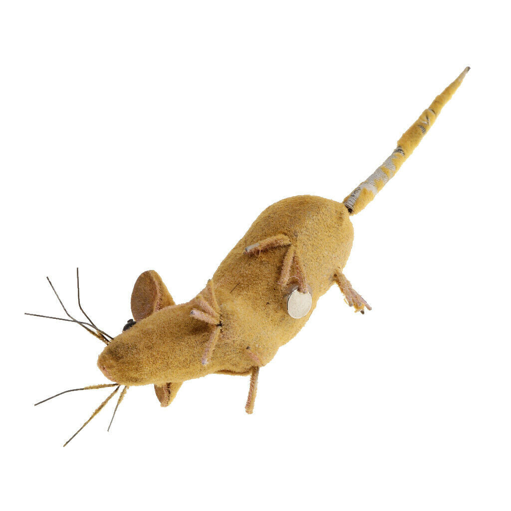 7Pieces Animal Toys Educational Resource High Simulation Reallistic Insects