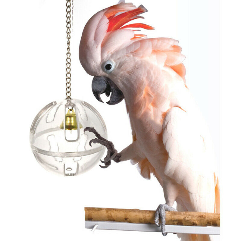 Parrots Ball Feeder Hanging Cage Feeding Birds Bell Foraging Chain For Treat,CH