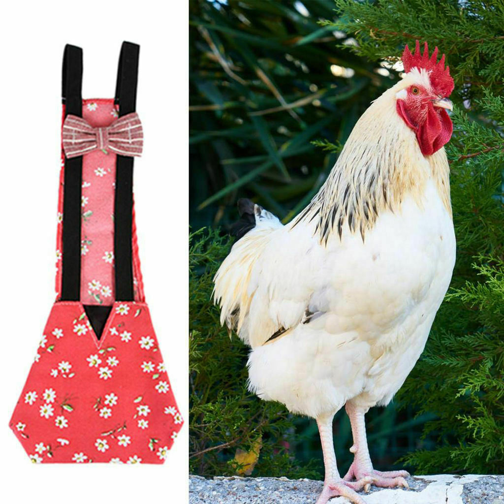 Goose Ducks Diaper Poultry Nappy Fashionable Cloth Apparel Diaper Red L
