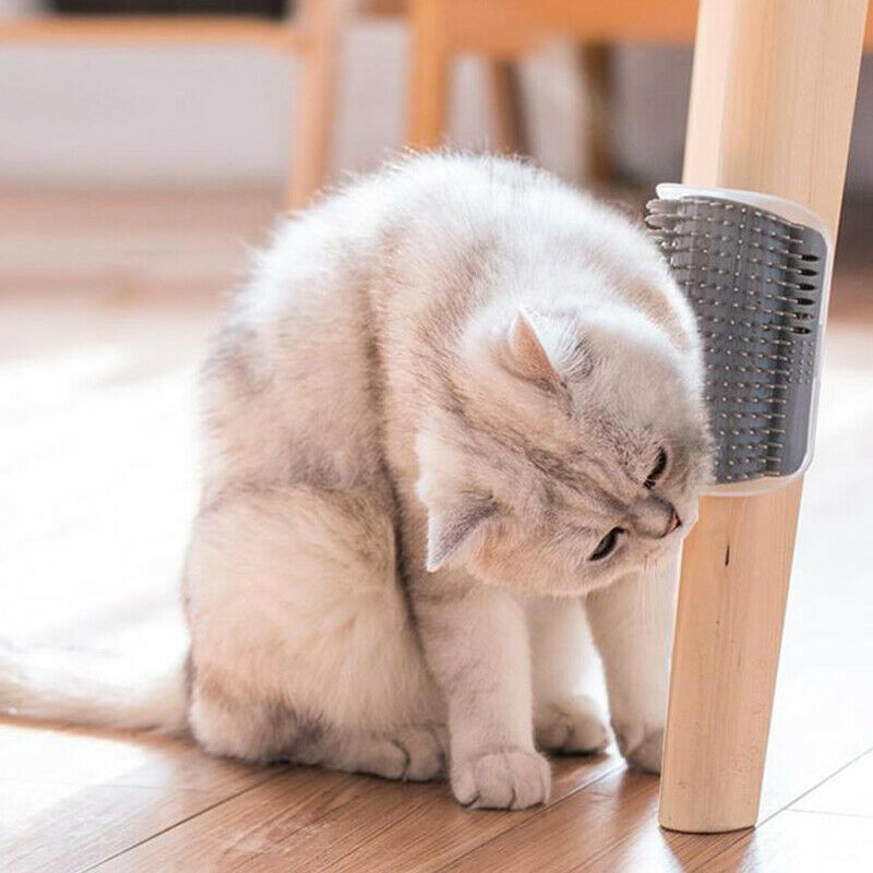 Shop-Story - Groomer Grey: Brush Angle Grooming for Cat