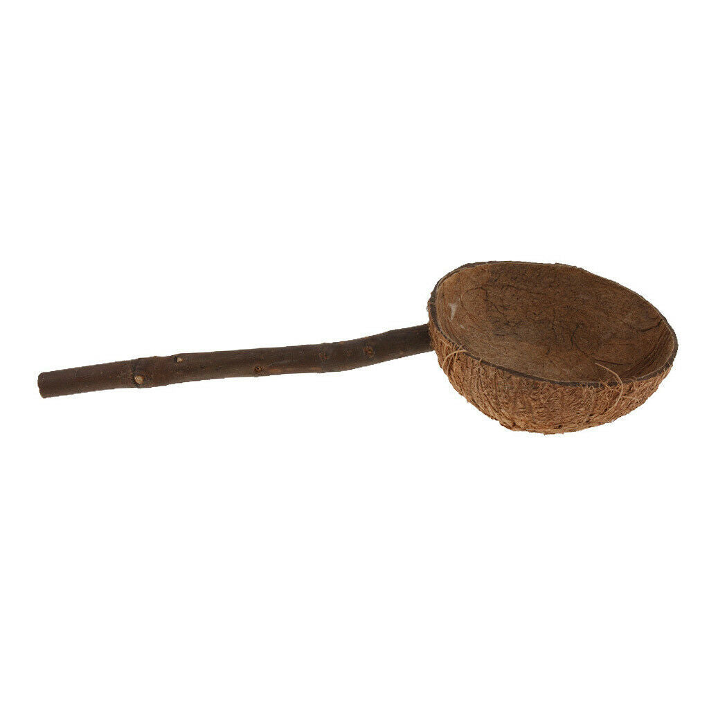 Bird Chew Perch Stand Stick with Coconut Shell Bowl Hamster Rat Feeding
