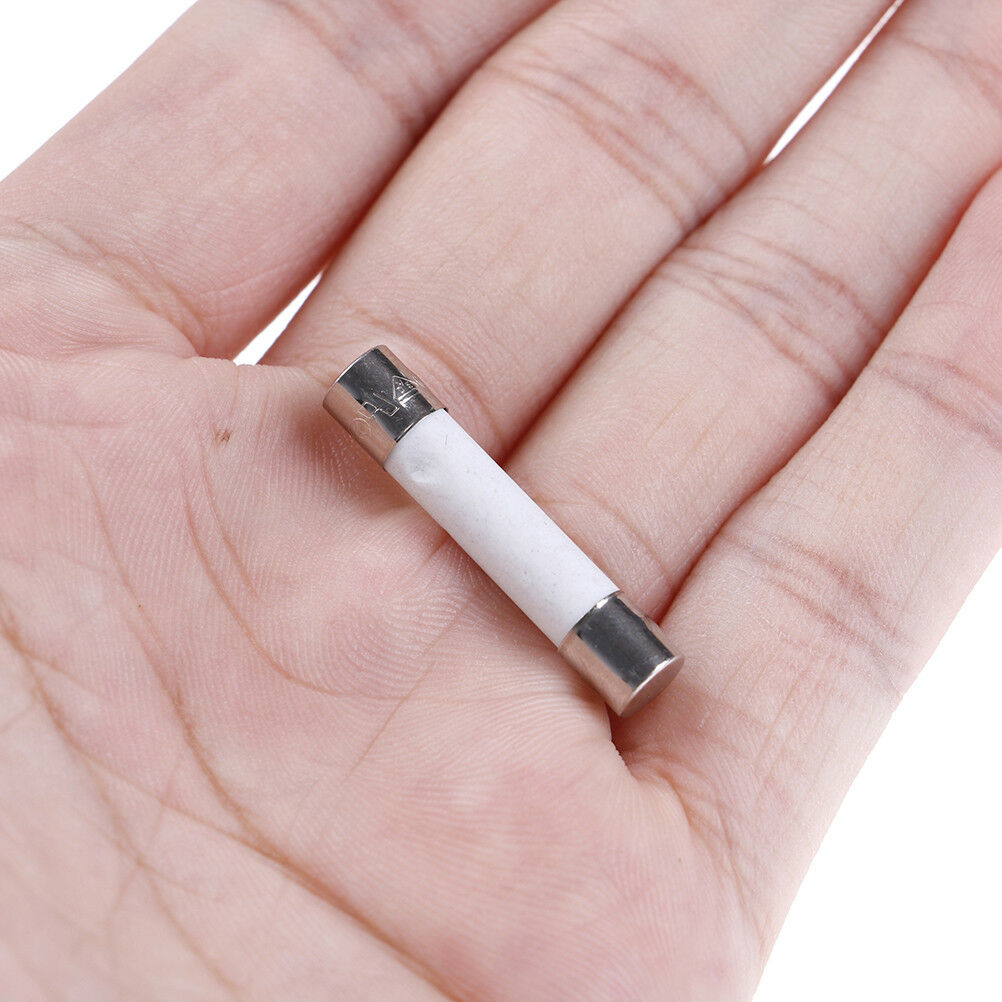 10 Pcs Microwave Ceramic Fuse Electric 20A 250V Home Supplies Diy 6X30mm  T C Tt