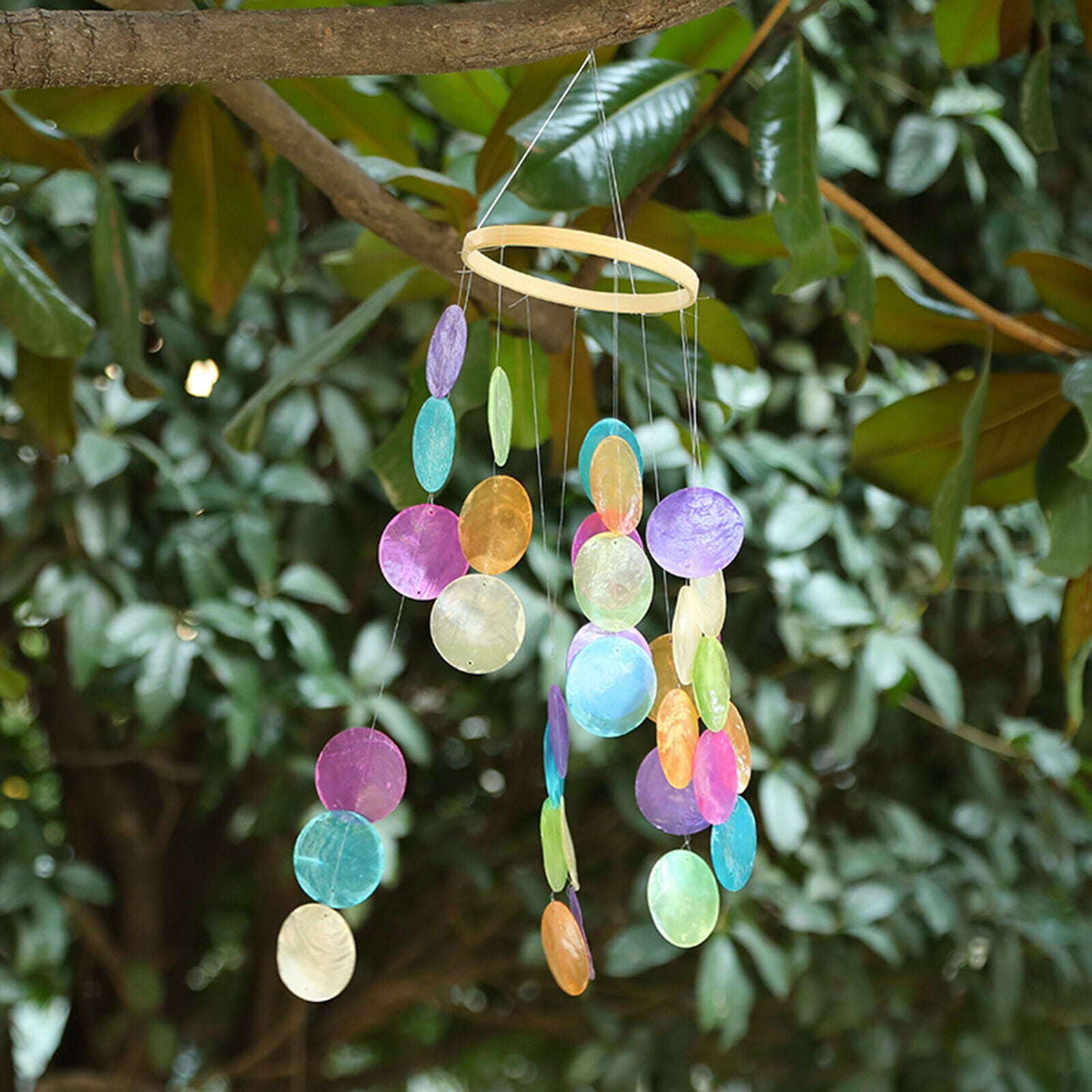 Shell Wind Chime Pendant for Indoor Patio Home Indoor Outdoor Wall Decor