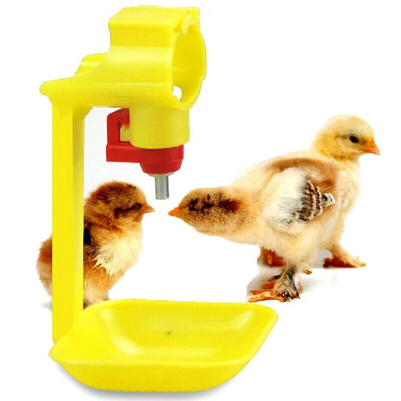 1Pc Poultry Drinker Chick Automatic Waterers Drinking Poultry Feeding Sup.l8