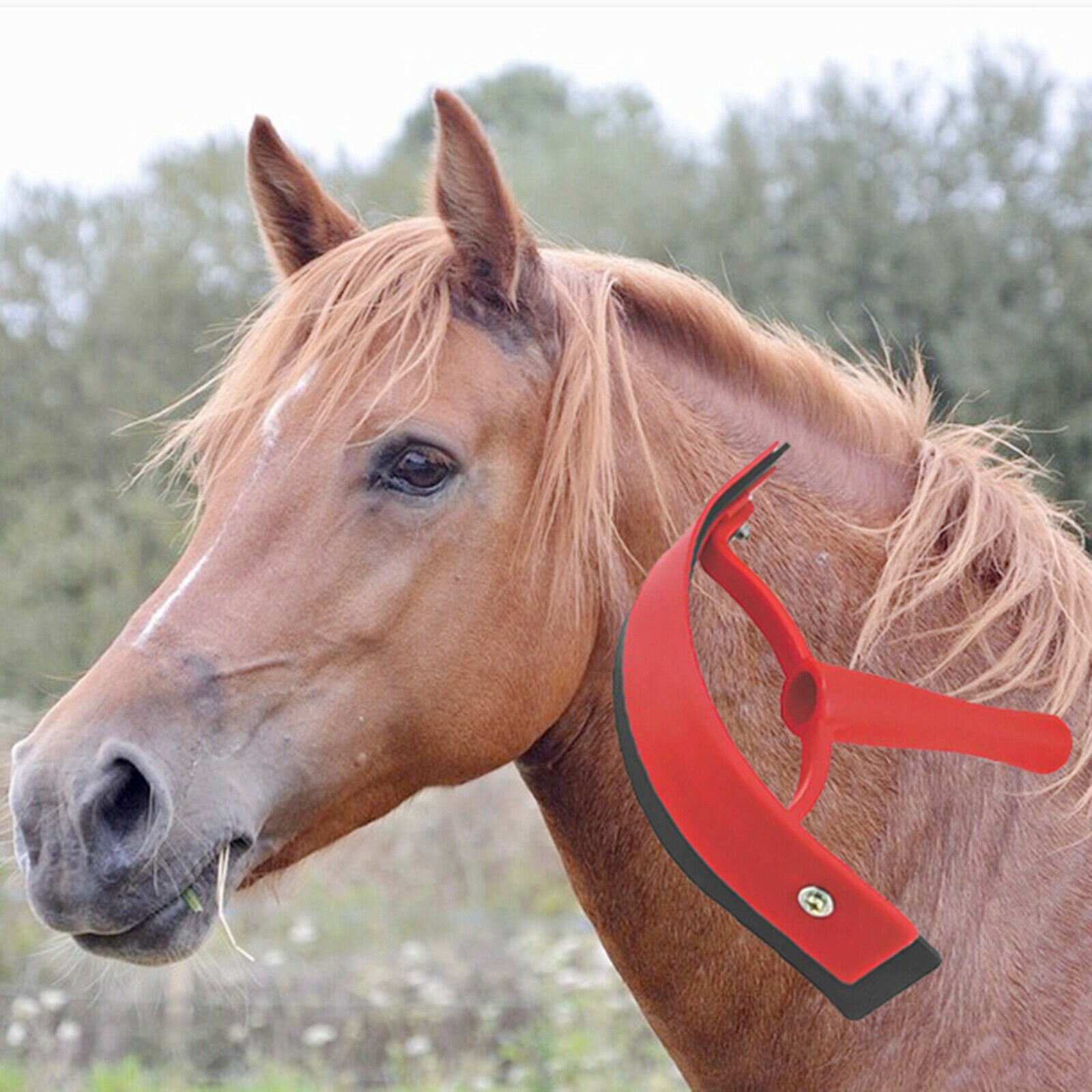 Portable Horse Sweat Scraper Grooming Cleaning Mane and Tail Care Tool